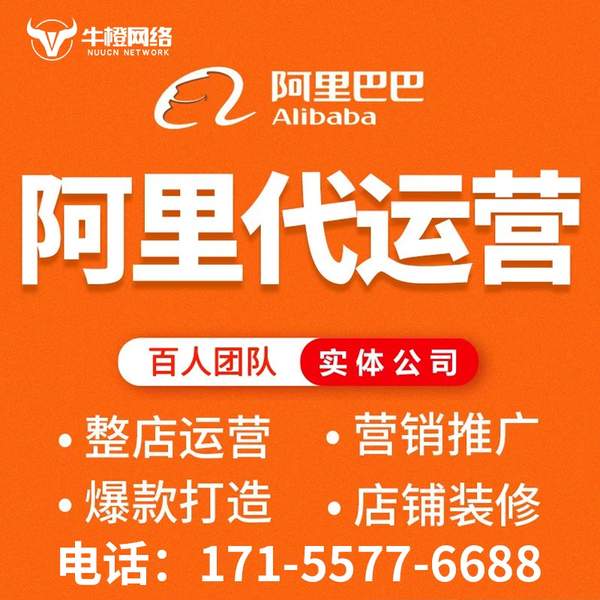麻城电商代运营