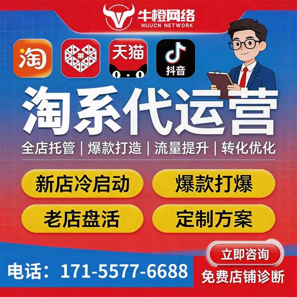 麻城电商代运营