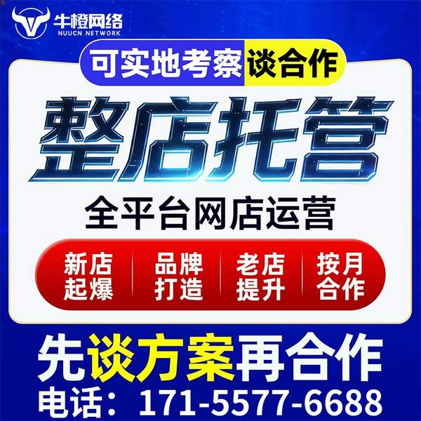 麻城电商代运营
