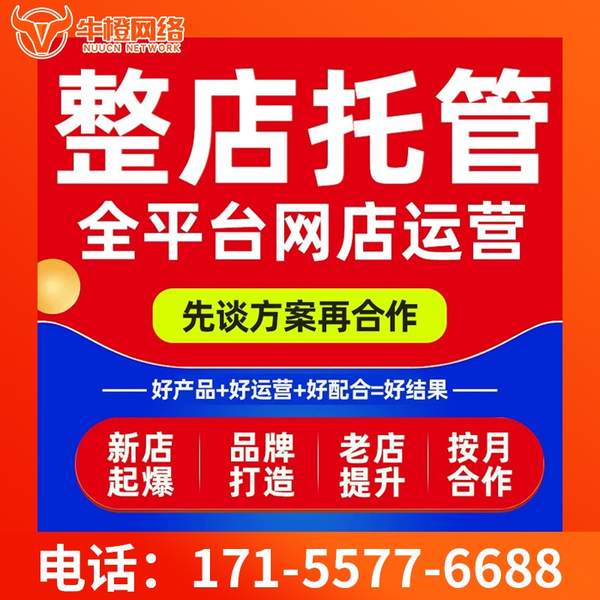 麻城电商代运营