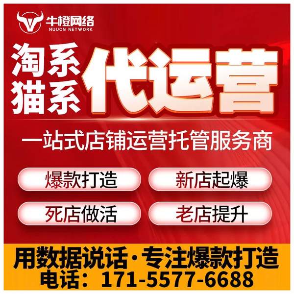 麻城电商代运营